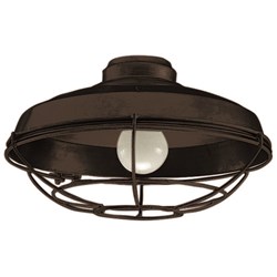 1 Light Wire Cage Light Kit in Flat Black