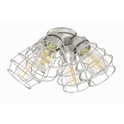 4 Light Cage Light Kit in Brushed Polished Nickel