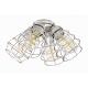 4 Light Cage Light Kit in Brushed Polished Nickel