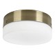 Antique Brass Integrated Led Light Kit